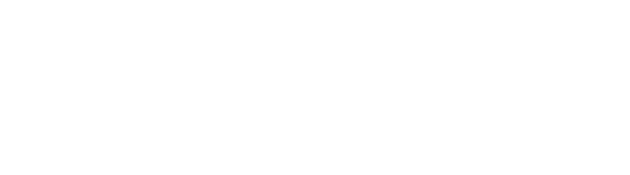 Software Logo